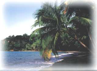 Dominica