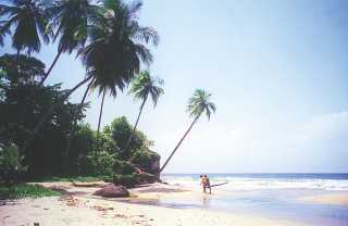 Strandhotel in traumhafter Lage: Ansicht des Strandes